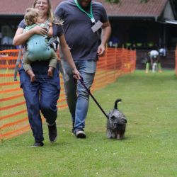 hunderennen 01 06 25