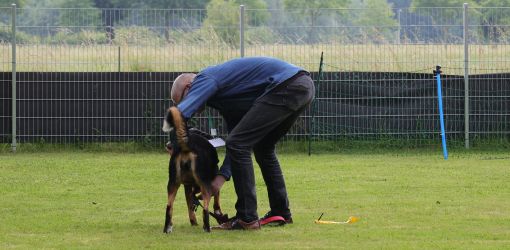 hunderennen 01 06 25