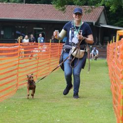 hunderennen 01 06 25