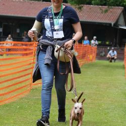 hunderennen 01 06 25