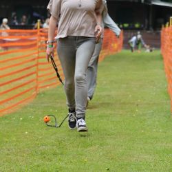 hunderennen 01 06 25