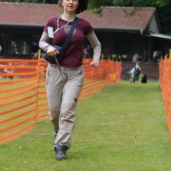 hunderennen 01 06 25