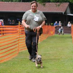 hunderennen 01 06 25