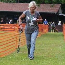 hunderennen 01 06 25