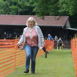 hunderennen 01 06 25