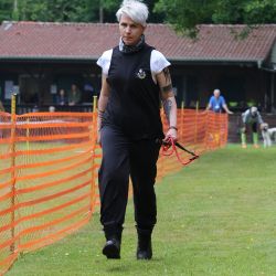 hunderennen 01 06 25