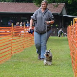 hunderennen 01 06 25