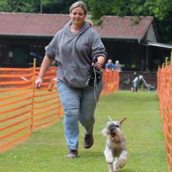 hunderennen 01 06 25