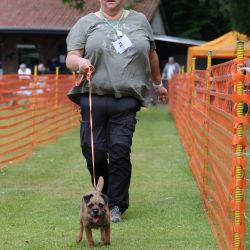 hunderennen 01 06 25