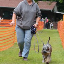 hunderennen 01 06 25