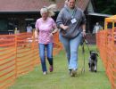 hunderennen 01 06 25