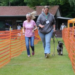 hunderennen 01 06 25