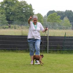hunderennen 01 06 25