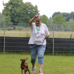 hunderennen 01 06 25