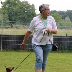 hunderennen 01 06 25