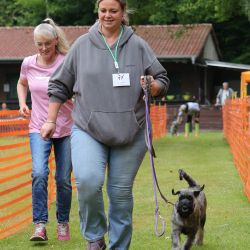 hunderennen 01 06 25