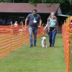 hunderennen 01 06 25