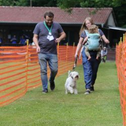 hunderennen 01 06 25