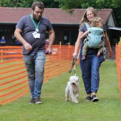 hunderennen 01 06 25