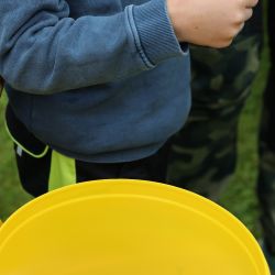 hunderennen 01 06 25