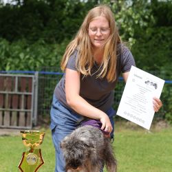 hunderennen 01 06 25