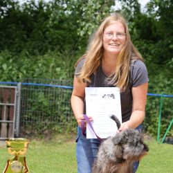 hunderennen 01 06 25