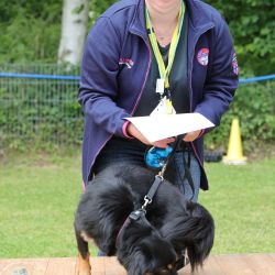 hunderennen 01 06 25