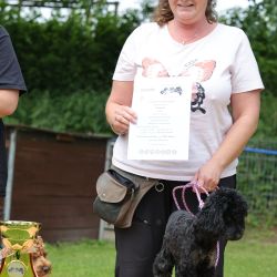 hunderennen 01 06 25