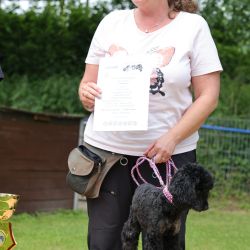 hunderennen 01 06 25