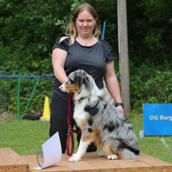 hunderennen 01 06 25