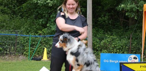 hunderennen 01 06 25