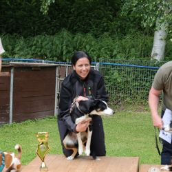 hunderennen 01 06 25