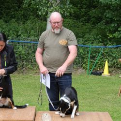 hunderennen 01 06 25