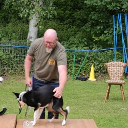 hunderennen 01 06 25