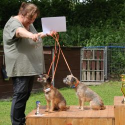 hunderennen 01 06 25