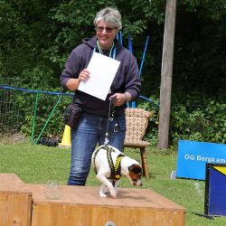 hunderennen 01 06 25