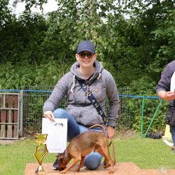 hunderennen 01 06 25