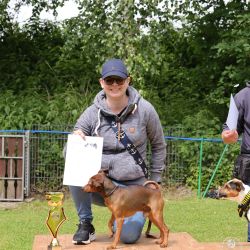 hunderennen 01 06 25