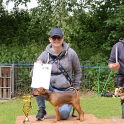 hunderennen 01 06 25