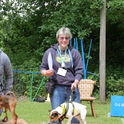 hunderennen 01 06 25