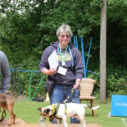 hunderennen 01 06 25