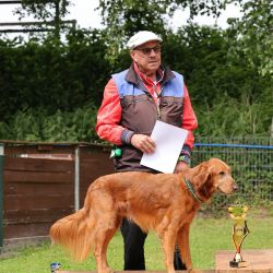 hunderennen 01 06 25