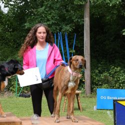 hunderennen 01 06 25