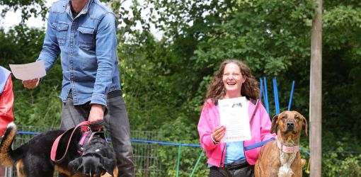 hunderennen 01 06 25