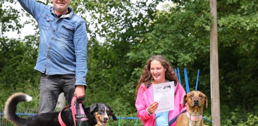 hunderennen 01 06 25