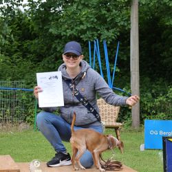 hunderennen 01 06 25