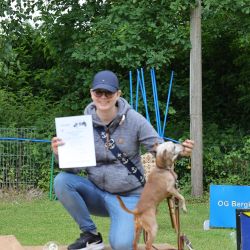 hunderennen 01 06 25