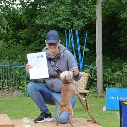 hunderennen 01 06 25