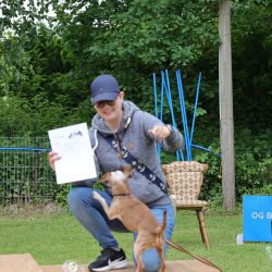 hunderennen 01 06 25