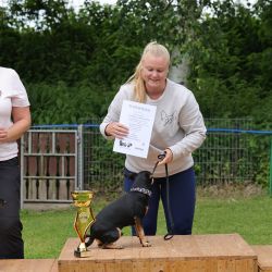 hunderennen 01 06 25